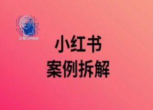 小红书案例拆解，深度解读小红书40万粉-鱼梓小栈
