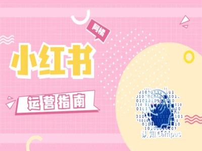 小红书运营指南，没有套路，全是经验-鱼梓小栈