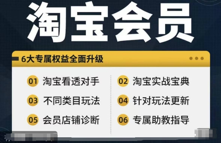 淘宝会员【淘宝所有课程，全面分析对手】，初级到高手全系实战宝典-鱼梓小栈