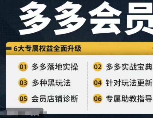 拼多多会员，拼多多实战宝典+实战落地实操，从新手到高阶内容全面覆盖-鱼梓小栈