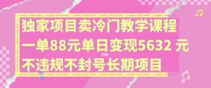独家项目卖冷门教学课程一单88元单日变现5632元违规不封号长期项目【揭秘】-鱼梓小栈