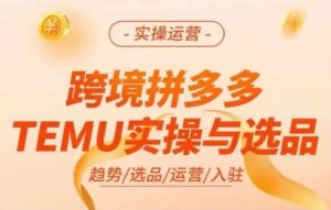 跨境拼多多TEMU实操与选品,多多temu跨境选品运营实操-鱼梓小栈