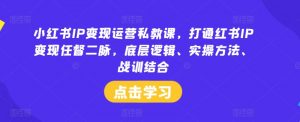 小红书IP变现运营私教课，打通红书IP变现任督二脉，底层逻辑、实操方法、战训结合-鱼梓小栈