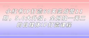 小红书IP打造60天实战营11期，5.0大升级，全网独一无二的自媒体IP打造课程-鱼梓小栈