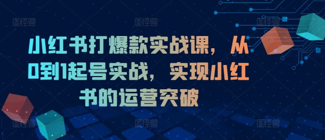 小红书打爆款实战课，从0到1起号实战，实现小红书的运营突破-鱼梓小栈