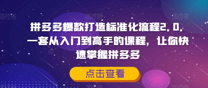 拼多多爆款打造标准化流程2.0，一套从入门到高手的课程，让你快速掌握拼多多-鱼梓小栈