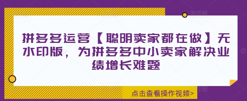 拼多多运营【聪明卖家都在做】无水印版，为拼多多中小卖家解决业绩增长难题-鱼梓小栈