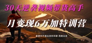 30天逆袭视频带货高手，单月变现6万加特训营-麦子甜-鱼梓小栈