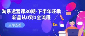 淘系运营课30期-下半年旺季新品从0到1全流程-鱼梓小栈