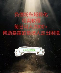 负债粉掘金计划，帮助负债者解决问题，债务规划，债务重组，最好的变现方式【揭秘】-鱼梓小栈