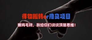 得物搬砖撸货项目?掰下数据,我给你们说说顶层思维【揭秘】-鱼梓小栈