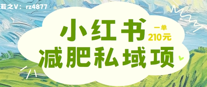 小红书减肥粉，私域变现项目，一单就达210元，小白也能轻松上手【揭秘】-鱼梓小栈