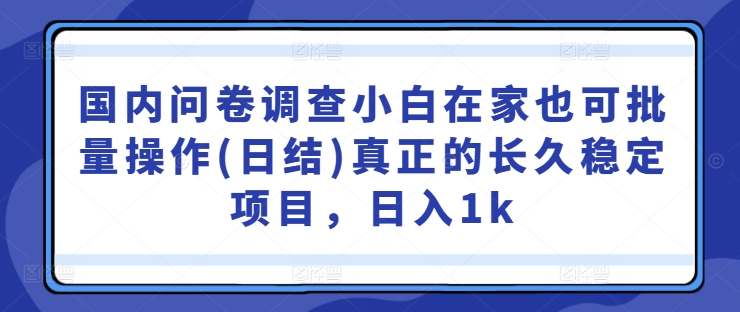 国内问卷调查小白在家也可批量操作(日结)真正的长久稳定项目，日入1k【揭秘】-鱼梓小栈
