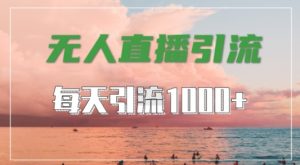 抖音快手视频号全平台通用，无人直播引流法，超暴力引流1000+高质量精准创业粉【揭秘】-鱼梓小栈
