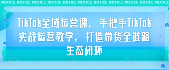 TikTok全域运营课，手把手TikTok实战运营教学，打造带货全链路生态闭环-鱼梓小栈