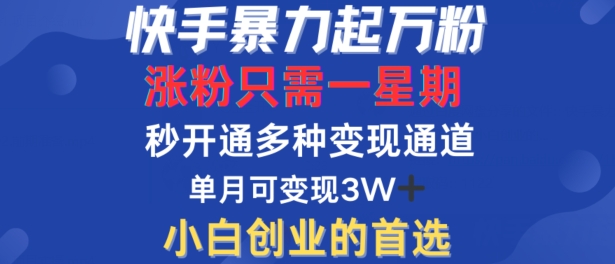快手暴力起万粉，涨粉只需一星期，多种变现模式，直接秒开万合，单月变现过W【揭秘】-鱼梓小栈