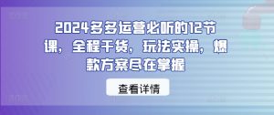 2024多多运营必听的12节课,全程干货,玩法实操,爆款方案尽在掌握-鱼梓小栈