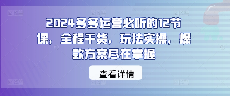 2024多多运营必听的12节课，全程干货，玩法实操，爆款方案尽在掌握-鱼梓小栈