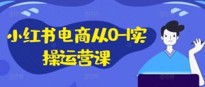 小红书电商从0-1实操运营课,小红书手机实操小红书/IP和私域课/小红书电商电脑实操板块等-鱼梓小栈