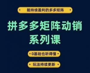 拼多多矩阵动销系列课，能持续盈利的多多矩阵，0基础也听得懂，玩法持续更新-鱼梓小栈
