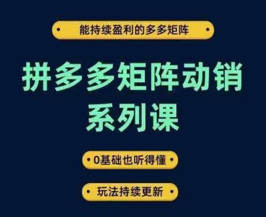 拼多多矩阵动销系列课，能持续盈利的多多矩阵，0基础也听得懂，玩法持续更新-鱼梓小栈