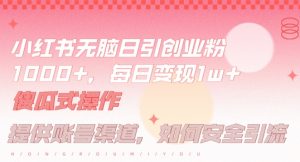 小红书无脑每日引流创业粉500+，小白每天只花半小时，躺赚长尾收益【揭秘】-鱼梓小栈