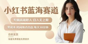 小红书蓝海赛道,圈中高端职场人,月入无上限,可矩阵,内含私域实操教程!-鱼梓小栈
