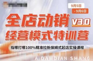 全店动销经营模式特训营，指哪打哪100%精准拉新保姆式起店实操课程-鱼梓小栈