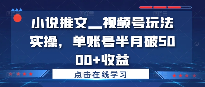 小说推文—视频号玩法实操，单账号半月破5000+收益-鱼梓小栈
