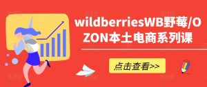 wildberriesWB野莓/OZON本土电商系列课，掌握WB产品优化，出单技巧和订单处理等-鱼梓小栈