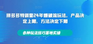 拼多多特训营24年爆破流玩法，产品决定上限，方法决定下限，各种玩法技巧落地实操-鱼梓小栈