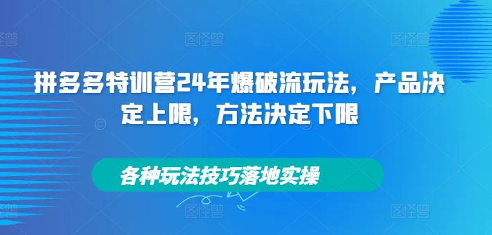 拼多多特训营24年爆破流玩法，产品决定上限，方法决定下限，各种玩法技巧落地实操-鱼梓小栈
