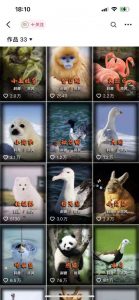 动物科普解说项目，撸创作者伙伴计划收益，保姆级实战教程-鱼梓小栈