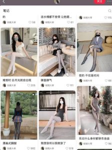 AI打造网红账号，一周收入超5位数，还能矩阵操做-鱼梓小栈