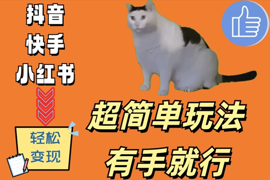 超简单玩法，有手就行，靠猫咪视频日入500+【揭秘】-鱼梓小栈