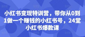 小红书变现特训营，带你从0到1做一个赚钱的小红书号，24堂小红书爆款课-鱼梓小栈