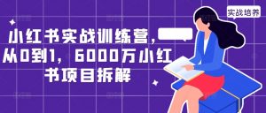 小红书实战训练营，从0到1，6000万小红书项目拆解-鱼梓小栈