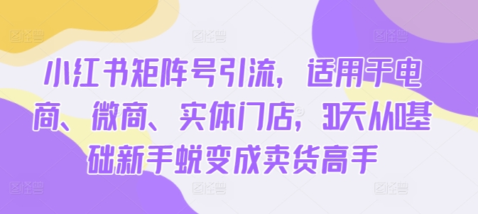 小红书矩阵号引流，适用于电商、微商、实体门店，30天从0基础新手蜕变成卖货高手-鱼梓小栈