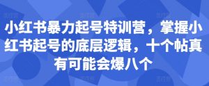 小红书暴力起号特训营，掌握小红书起号的底层逻辑，十个帖真有可能会爆八个-鱼梓小栈