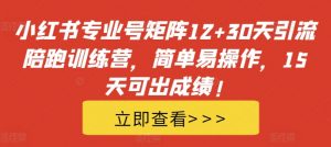 小红书专业号矩阵12+30天引流陪跑训练营,简单易操作,15天可出成绩!-鱼梓小栈