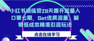 小红书训练营28天撕开流量入口第七期,Get优质流量,解锁低成本精准引流玩法-鱼梓小栈