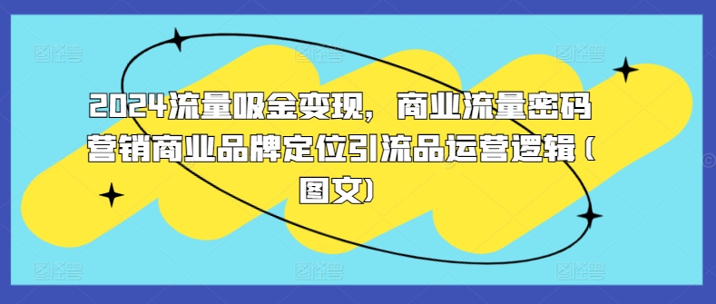 2024流量吸金变现，商业流量密码营销商业品牌定位引流品运营逻辑(图文)-鱼梓小栈