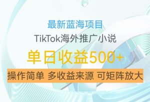最新蓝海项目，利用tiktok海外推广小说赚钱佣金，简单易学，日入500+，可矩阵放大【揭秘】-鱼梓小栈