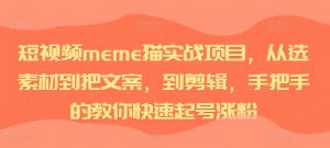 短视频meme猫实战项目，从选素材到把文案，到剪辑，手把手的教你快速起号涨粉-鱼梓小栈