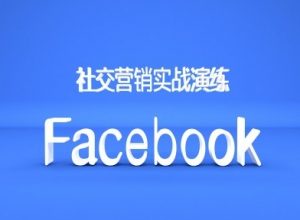 Facebook社交营销实战演练，外贸人绝对不能错过的营销推广平台-鱼梓小栈