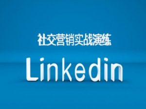 社交营销实战演练之Linkedin营销课程，B2B跨境外贸的新出路-鱼梓小栈