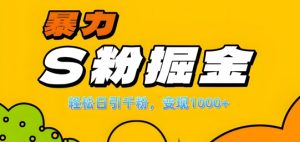 单人单机日引千粉，变现1k+，S粉流量掘金计划攻略【揭秘】-鱼梓小栈