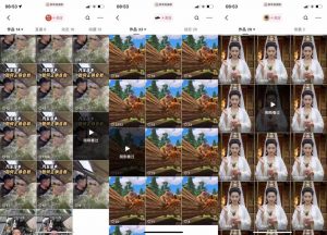 狗熊岭快手连怼技术，好物，涨粉都可以连怼-鱼梓小栈