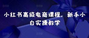 小红书高级电商课程，新手小白实操教学-鱼梓小栈