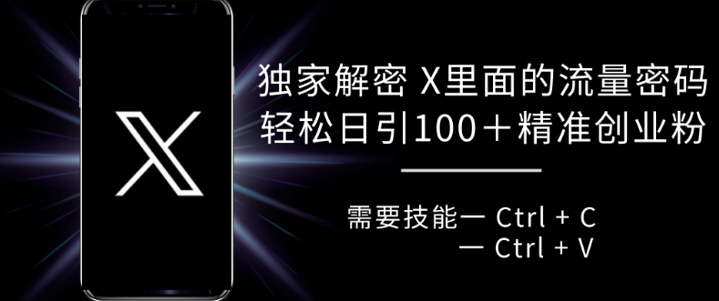 独家解密 X 里面的流量密码，复制粘贴轻松日引100+-鱼梓小栈